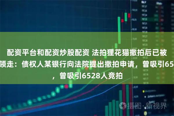 配资平台和配资炒股配资 法拍狸花猫撤拍后已被爱猫人士领走：债权人某银行向法院提出撤拍申请，曾吸引6528人竞拍