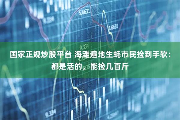 国家正规炒股平台 海滩遍地生蚝市民捡到手软：都是活的，能捡几百斤