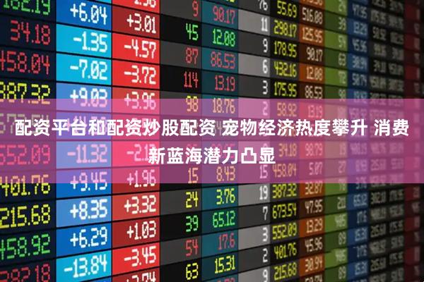 配资平台和配资炒股配资 宠物经济热度攀升 消费新蓝海潜力凸显