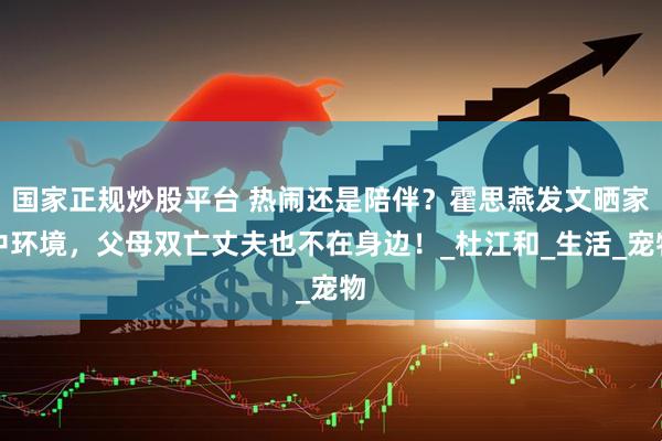 国家正规炒股平台 热闹还是陪伴？霍思燕发文晒家中环境，父母双亡丈夫也不在身边！_杜江和_生活_宠物